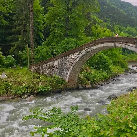 Hotel Look Valley Bungalov