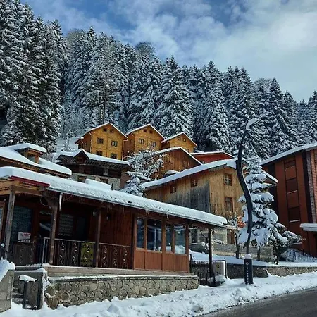 Look Valley Bungalov Ardesen